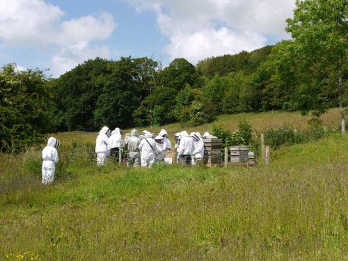 A swarm of beekeepers around the Teaching Apiary.
